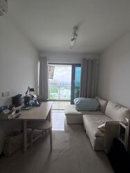 Normanton Park (D5), Apartment #518367451
